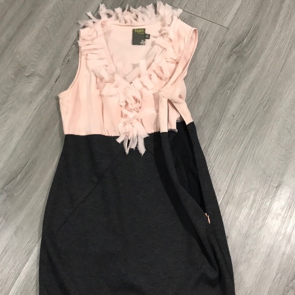 Taylor Petite Pink Silk Frayed Ruffle Neck Sleeveless Dress size 2P - Picture 7 of 7